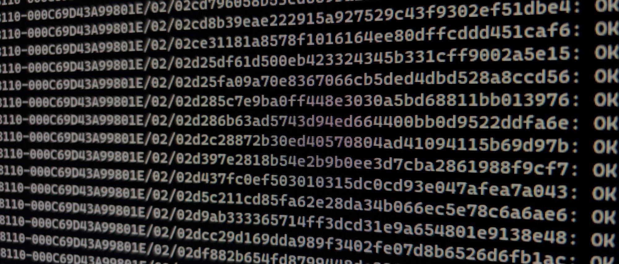 A screenshot of sha512 checksum hashes.